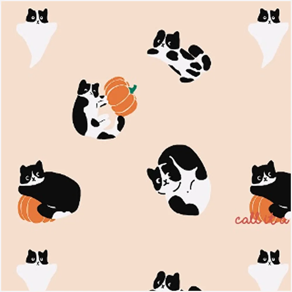 Pumpkin cat